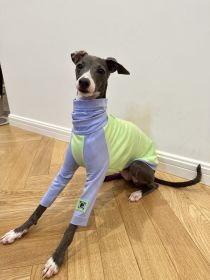 Color Matching Cotton T-shirt Vest Linton Terrier Clothes (Option: Fluorescent Green-7yards)